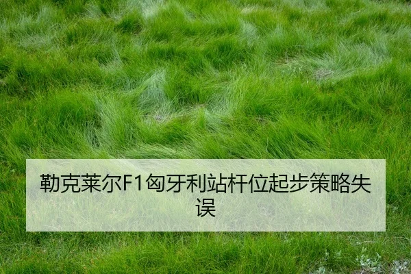 lei-ke-lai-er-xiong-ya-li-zhan-gan-wei-qi-bu-ce-lve-shi-wu-2-556.jpg