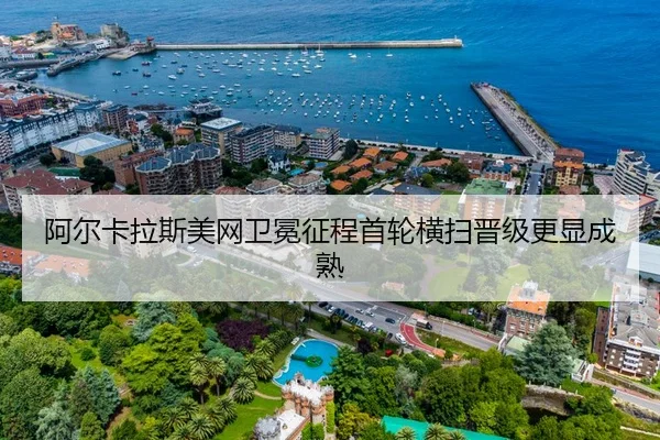 a-er-ka-la-si-mei-wang-wei-mian-zheng-cheng-shou-lun-heng-sao-jin-ji-geng-xian-cheng-shu-2-589.jpg