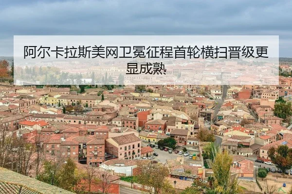 a-er-ka-la-si-mei-wang-wei-mian-zheng-cheng-shou-lun-heng-sao-jin-ji-geng-xian-cheng-shu-3-704.jpg
